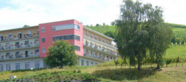 Pošljimo sapico prijateljstva