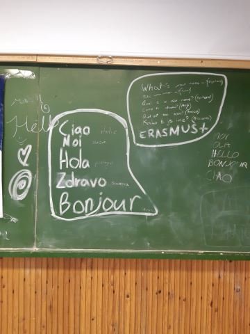 Petek
