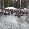 Torek