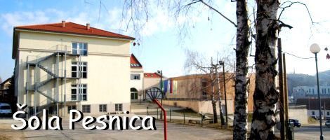 Šola Pesnica